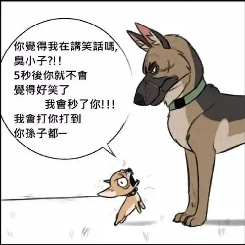 超暖心小漫画退役军犬大狼狗与小猫咪
