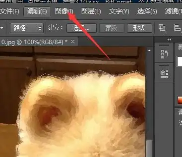 ps漫画头像教程过程