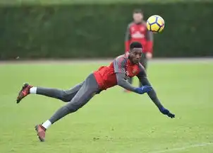 备战北伦敦德比,表情最兴奋的是他