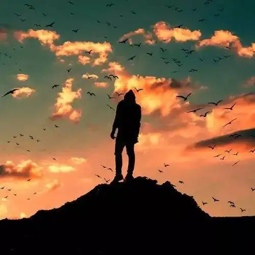 mysql面试题数据库基础知识