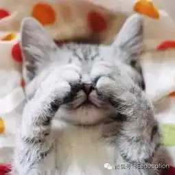 如何向老外介绍2014年度中国网络流行语