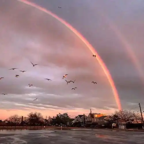 拿图留赞,谢谢.