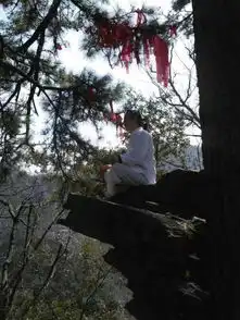 武当山的道士到底能不能结婚