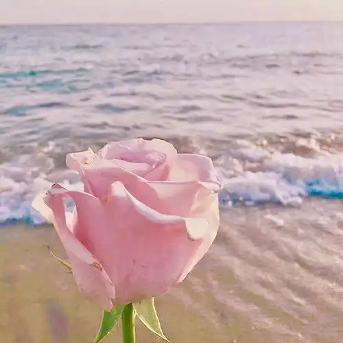 朋友圈背景图超赞的ins风