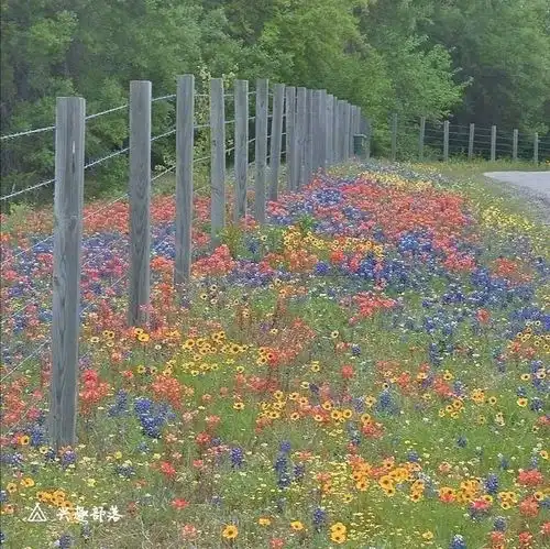 让人秒赞的朋友圈文案