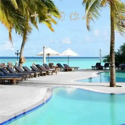 b体育app官网下载官方版2024已更新最新聚巧网