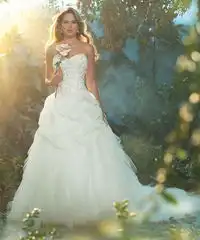 2013迪士尼纯美童话婚纱系列圆公主梦