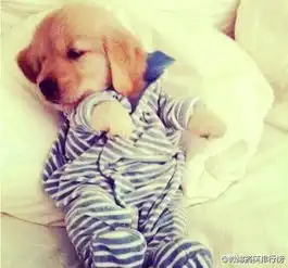 对啦,对啦,我是被迫的啦大学毕业一年,还要去参加考试,是啦是啦,我要去美国啦,wow在合肥啦,