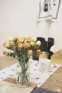 平价改造王用6万就打造了80m2治愈系小家,并在阳台上栽了小森林