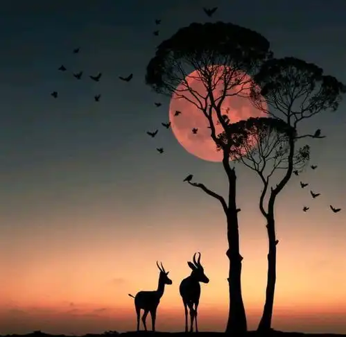 写给自己最醒脑的人生格言