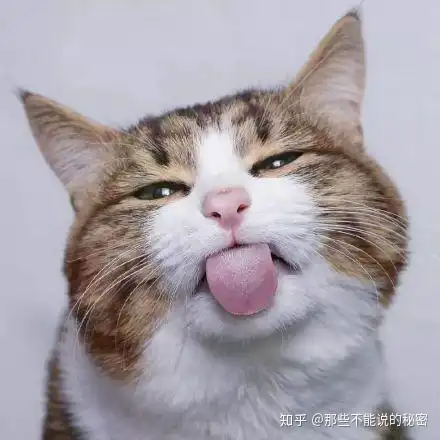 怎样让男朋友粘上你