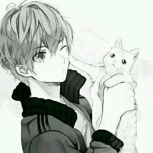 男生头像动漫有猫