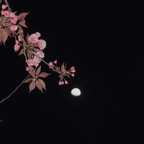 时间久了不知道是喜欢还是执念唯美图片我要个性网