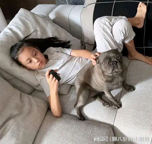 贾乃亮发动态为女儿甜馨庆生