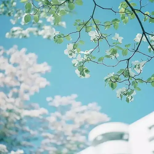 爱,不是随便说说