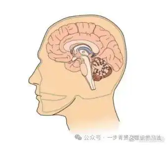 拒绝焦虑症,暑假是抑郁躺平孩子的疗愈关键期潜意识学习法北京