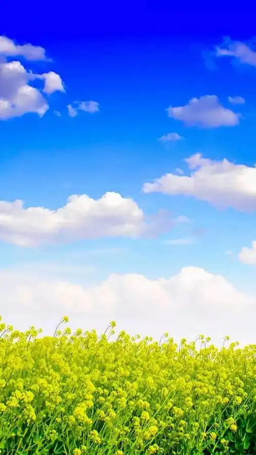 分享图片蓝天白云,景色宜人,令人向往