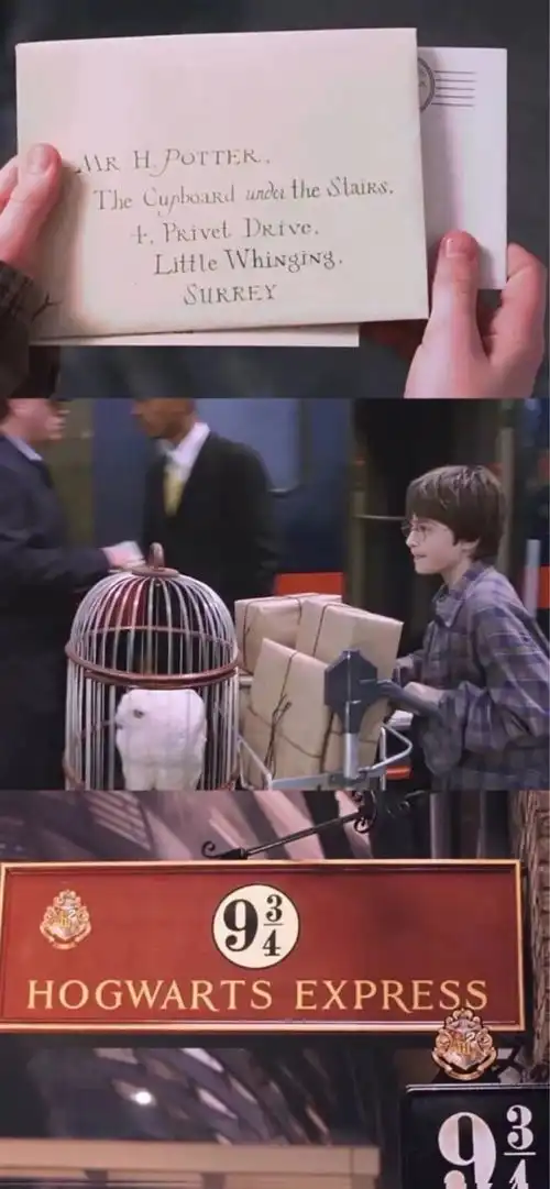 头像灿若繁星,显而易见