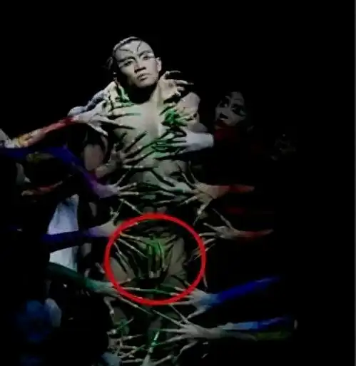 破底线杨丽萍上演阴阳双修男舞者反应大,网友把舞台当床了