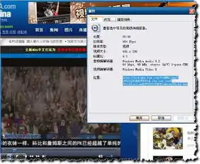 这个视频要怎么才能下载啊