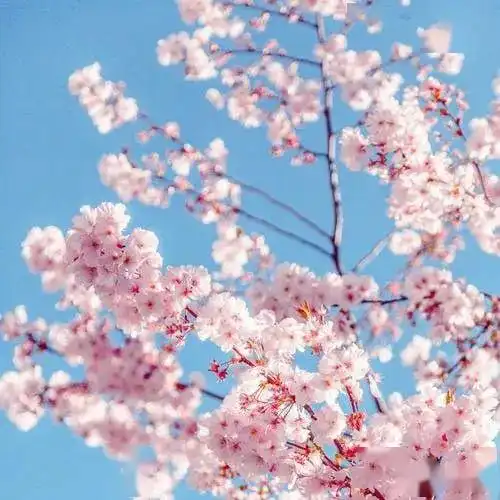 家园携手共育助力快乐成长小二班