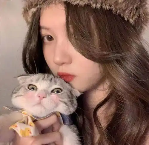 文案头像只要岁岁平安,即使生生不见