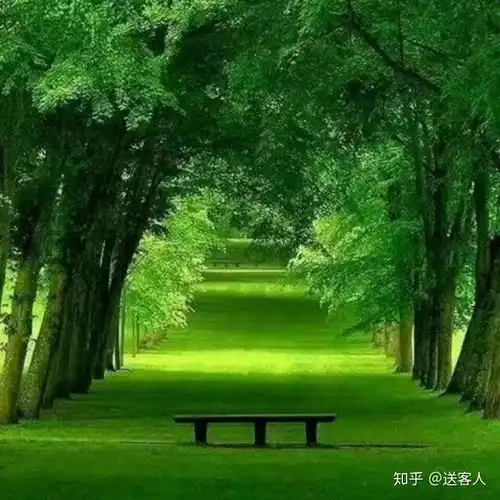 好看头像绿色系图片舍不