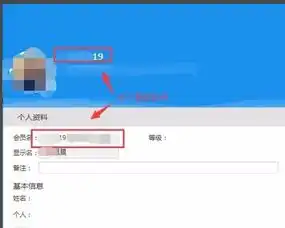 天猫上的旺旺号是什么