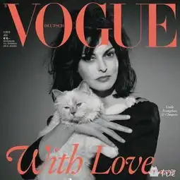 全球最有钱最时尚的猫猫窝lv,出行还有私人飞机