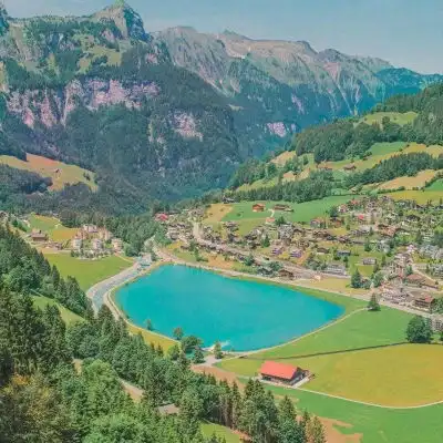 苏瓷清新意境背景绿色小清新风景静物头像我要个性网