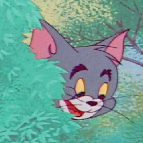 系列头像适合天气变冷发的朋友圈文案