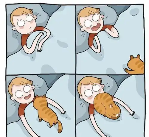 16张猫奴才懂的痛并快乐着的爆笑日常