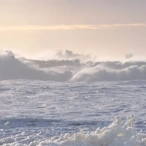 初雪文案霜雪落满头,也算是白首