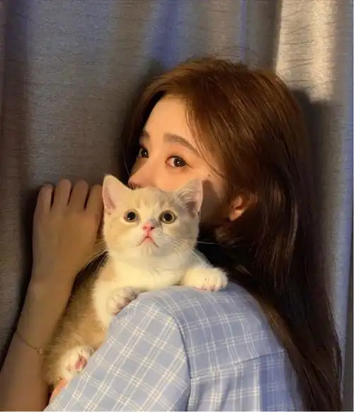 韩系高冷带猫女生头像唐