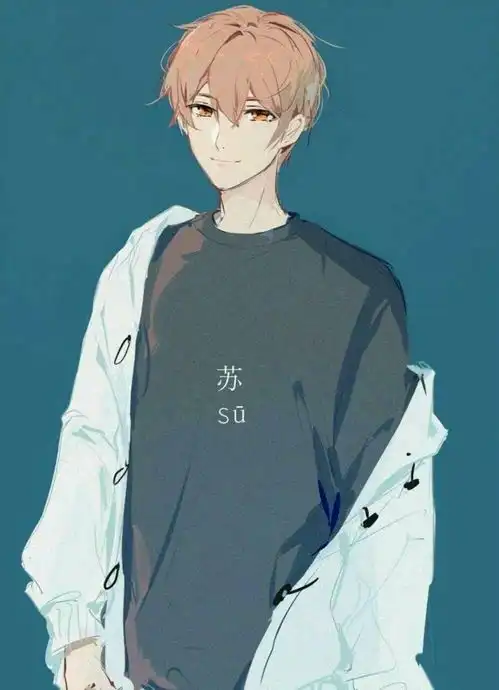 全职高手遗憾太多,苏沐秋活在了18岁,荣耀欠张佳乐一个冠军