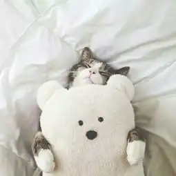 元宝周的微博微博