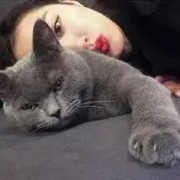 猫系女生照片情侣头像
