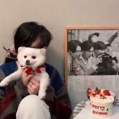 可可爱爱女生沙雕头像沙雕又不失可爱系列头像