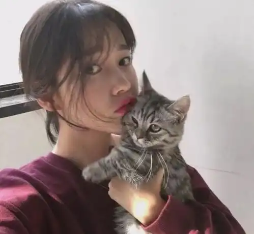 全价猫粮测评很火的全价猫粮和全阶段猫粮什么区别