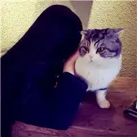 抱着萌宠的女生头像,抱着小狗狗,小猫咪的