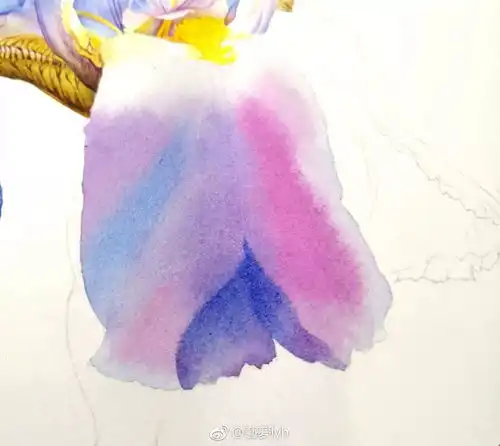 水彩教程写实水彩鸢尾画法