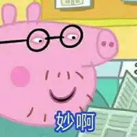 呆萌小猪头像图片大全微信头像图片大全