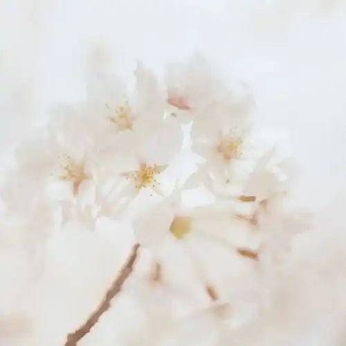 疫情慰问暖人心心系职工送温暖