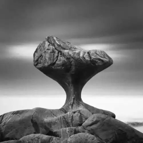 100条为人处事的道理,希望您仔细品读