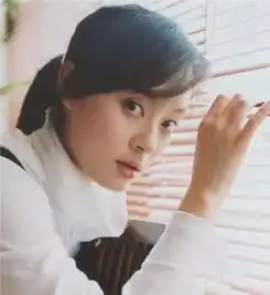 同立世邦起亚