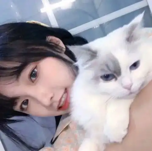 猫系女头抱猫系列