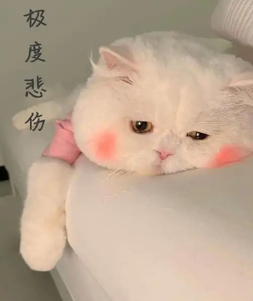 极度悲伤
