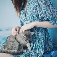 你愿意写下你刻骨铭心的歌吗