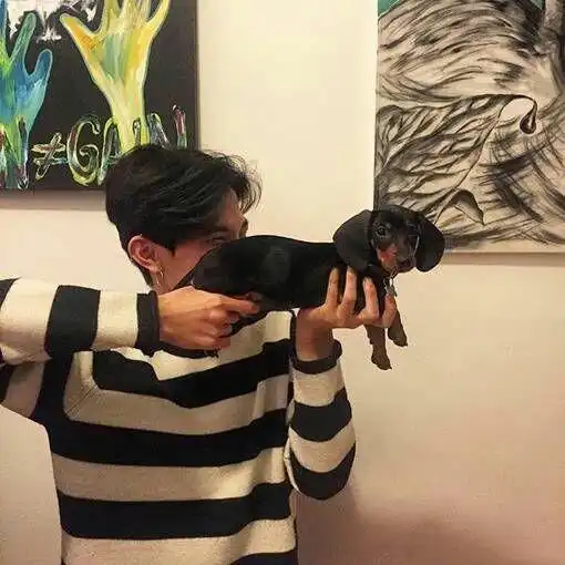 我感觉我男朋友换的是情头