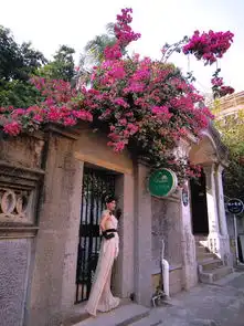 吃货最爱厦门游悠闲曾厝垵惊喜动物园小资鼓浪屿